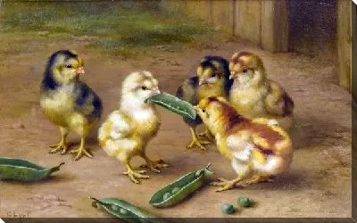 Картина маслом Цыплята (Chickens)