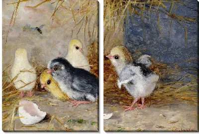 Модульная картина Цыплята (Chickens) №2