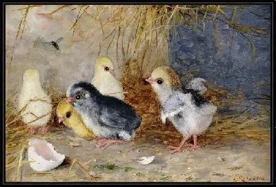 Цыплята (Chickens) №2