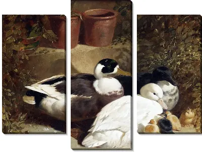 Модульная картина Утки (Ducks)