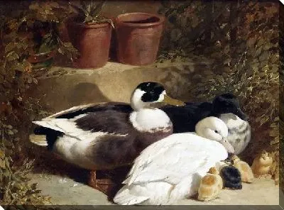 Картина маслом Утки (Ducks)