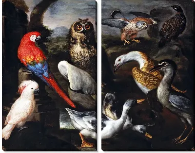 Картина Птицы (Birds) №3