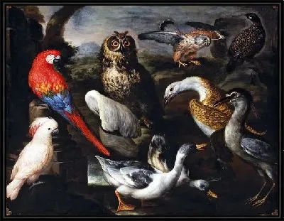 Картина Птицы (Birds) №3