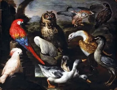 Картина Птицы (Birds) №3