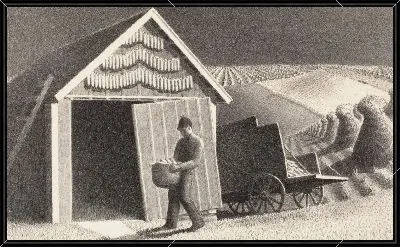 Время семени и урожая