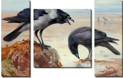 Модульная картина Вороны (Ravens)