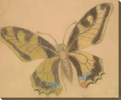 Картина бабочка №17