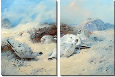 Модульная картина Птицы (Birds) №6