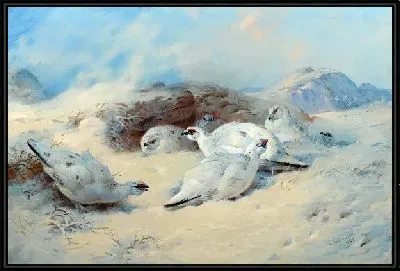 Картина Птицы (Birds) №6