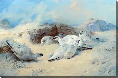 Картина маслом Птицы (Birds) №6