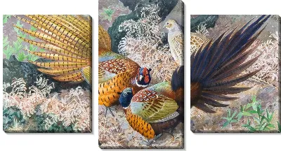 Модульная картина Птицы (Birds) №7