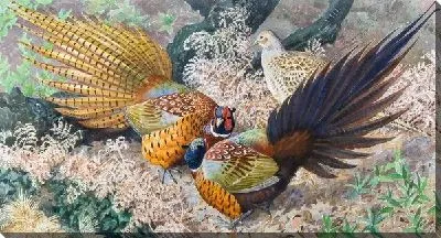 Картина маслом Птицы (Birds) №7