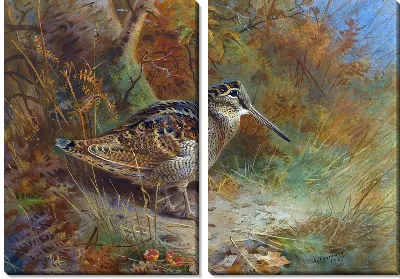 Модульная картина Птица (Bird)