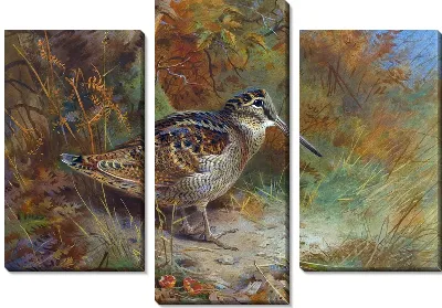 Модульная картина Птица (Bird)