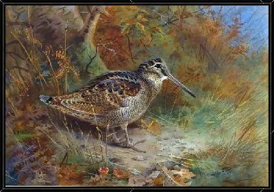 Картина Птица (Bird)