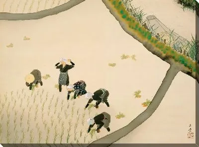 Молодые дамы сажают рис