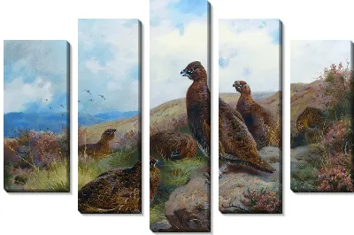 Картина Птицы (Birds) №8