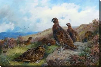 Птицы (Birds) №8