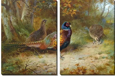 Картина Птицы (Birds) №9