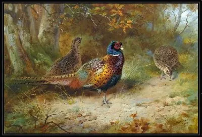 Птицы (Birds) №9