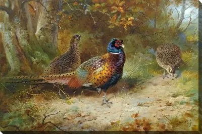 Птицы (Birds) №9