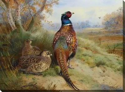 Птица (Bird) №2