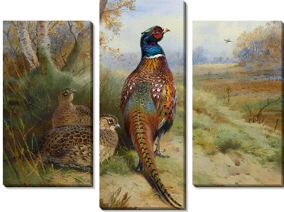 Птица (Bird) №2