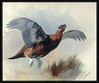 Картина Фазан (Pheasant) №3