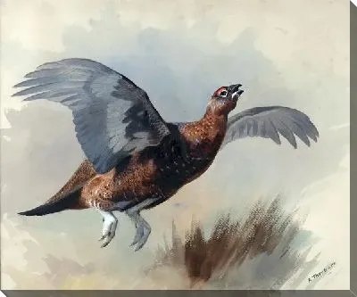 Картина маслом Фазан (Pheasant) №3