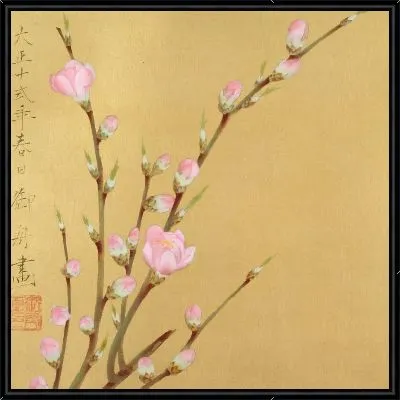 Цветение персика