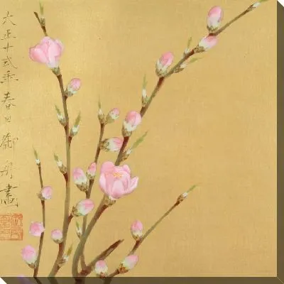 Цветение персика