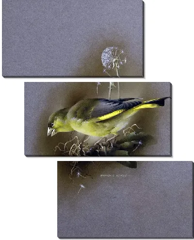Модульная картина Птица (Bird) №3