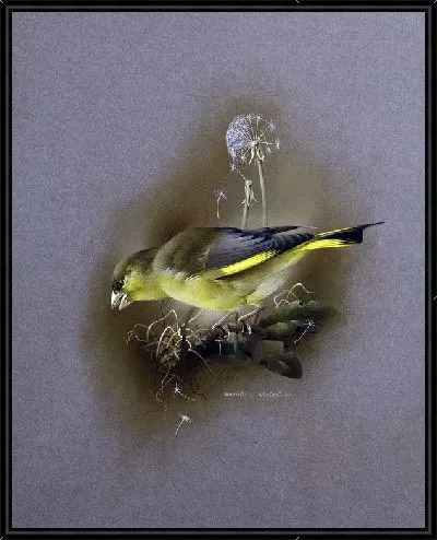 Картина Птица (Bird) №3
