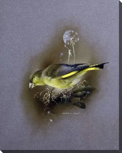 Картина маслом Птица (Bird) №3