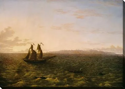 Картина Остров Мадейра