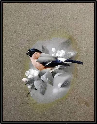 Картина Снегирь (Bullfinchbullfinch)