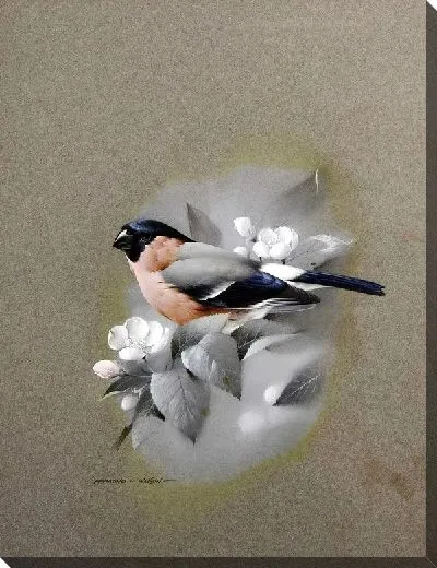 Постер Снегирь (Bullfinchbullfinch)