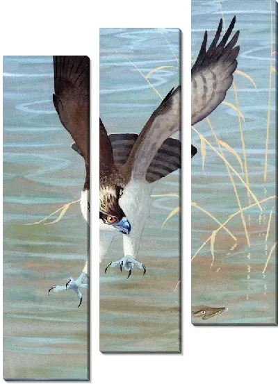 Модульная картина Ястреб (Hawk) №4