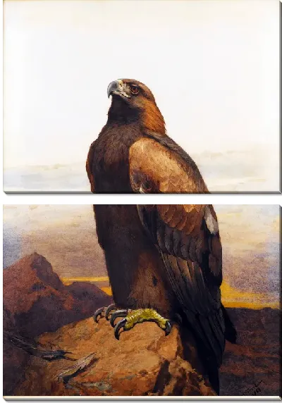 Модульная картина Птица (Bird) №4