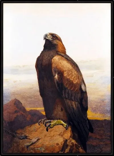 Картина Птица (Bird) №4