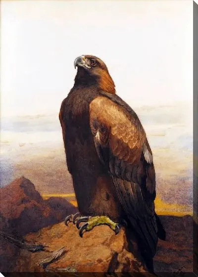 Картина маслом Птица (Bird) №4