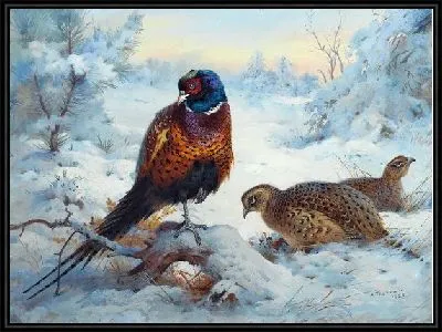 Картина Фазан (Pheasant) №4