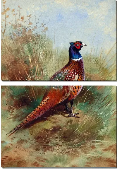 Модульная картина Птица (Bird) №5