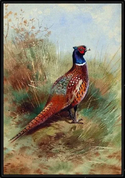Картина Птица (Bird) №5