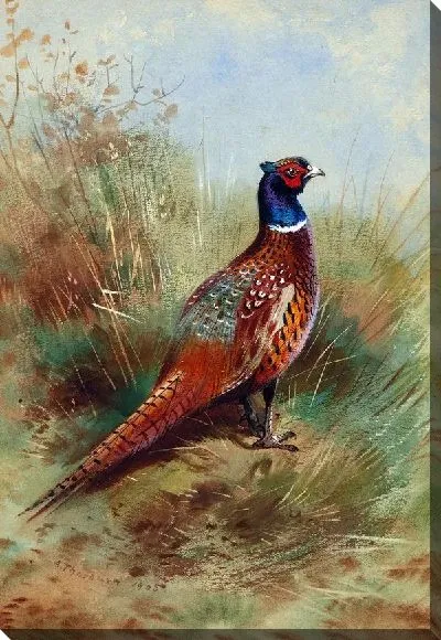 Картина маслом Птица (Bird) №5