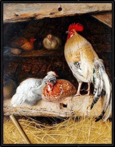 Картина Курицы (Chickens) №4