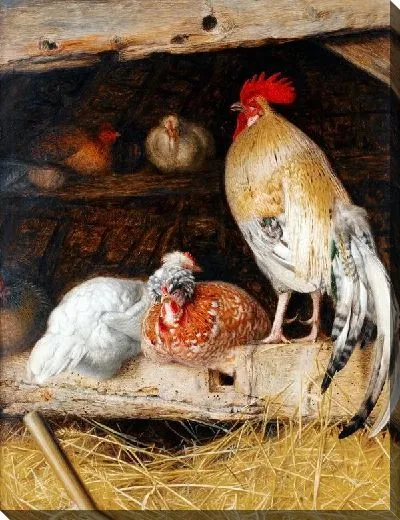 Картина Курицы (Chickens) №4