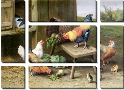 Картина Курицы (Chickens) №5