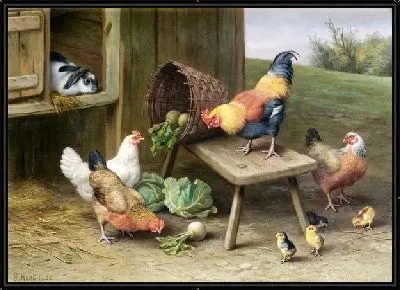 Курицы (Chickens) №5