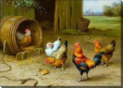 Курицы (Chickens) №6